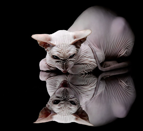 英超球队赛季中期体能衰减趋势与恢复方案探讨,英超休赛期多长时间