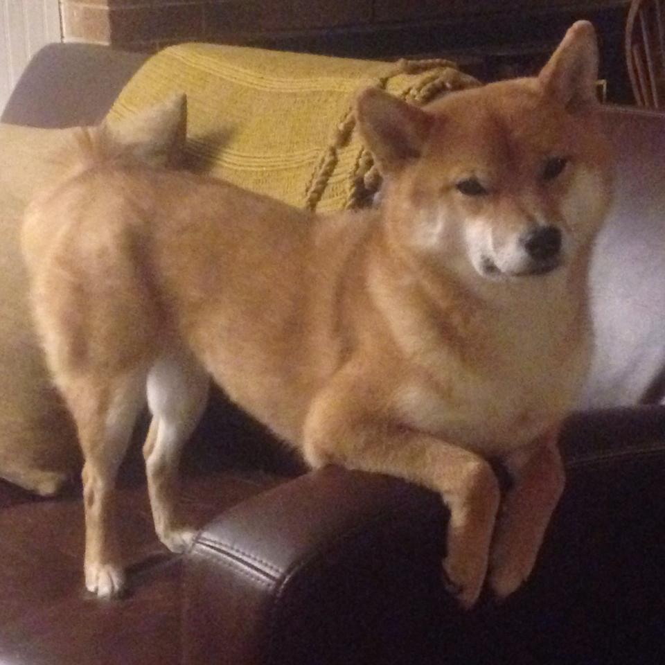 中超联赛国家队战败 球迷呼吁技战术改革，中超联赛投入