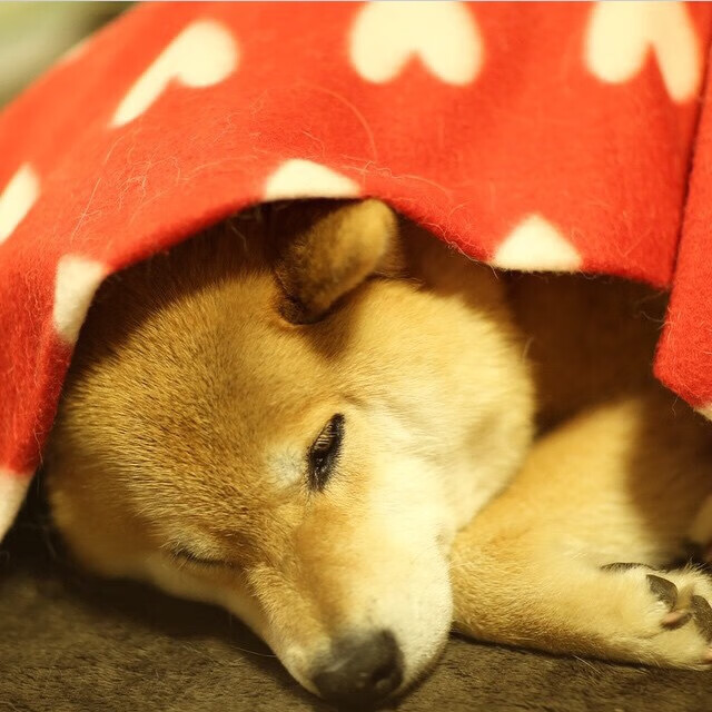 中超联赛国家队爆冷 球迷提出改革建议，中超球队减少