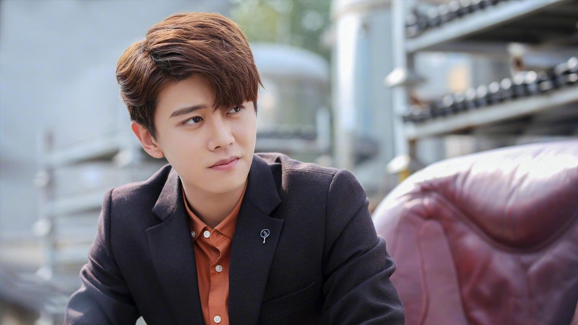 瑞典队在2024年世界杯赛场的优势与不容忽视的力量，瑞典世界杯预选赛