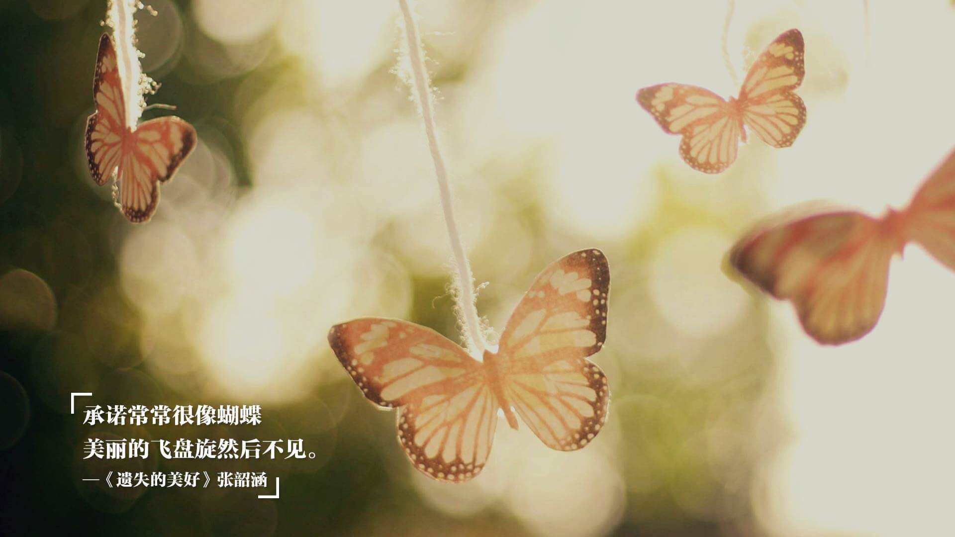 美国队未来发展:如何通过调整选手战术打法应对国际挑战,美国队站位