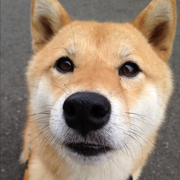 青训人才外流现象越发严重，青年人才队伍培养