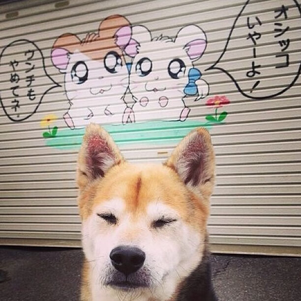 中国足球俱乐部球员职业发展路径多元化，我国职业足球俱乐部发展现状